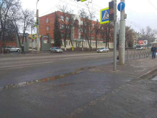 ФОТО: Пресс-служба Орловского реготделения ОНФ  