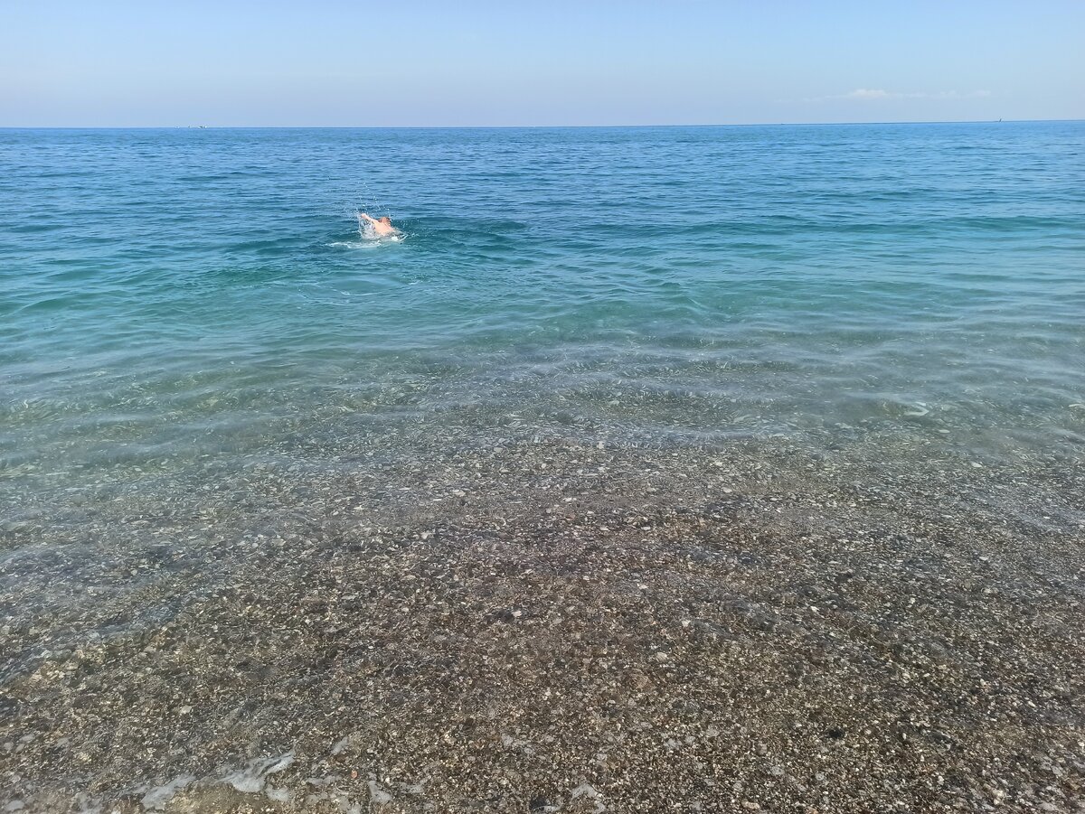 наш одинокий пловец. фото из личного архива