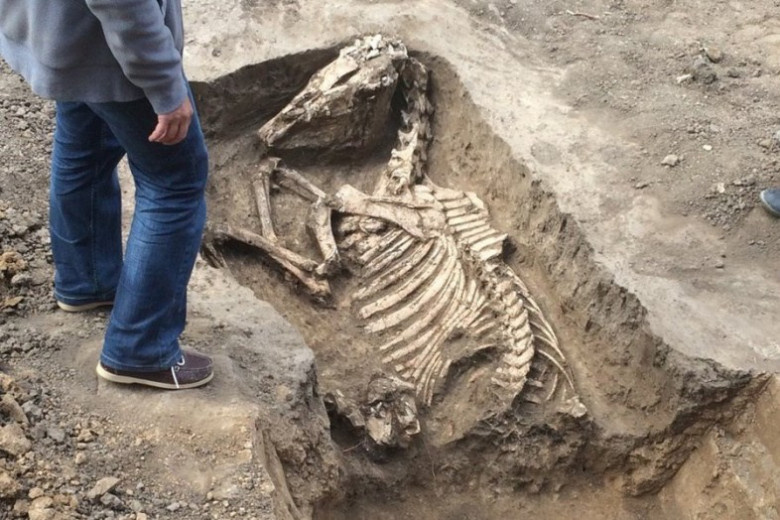 картинка взята с сервиса яндекс картинки