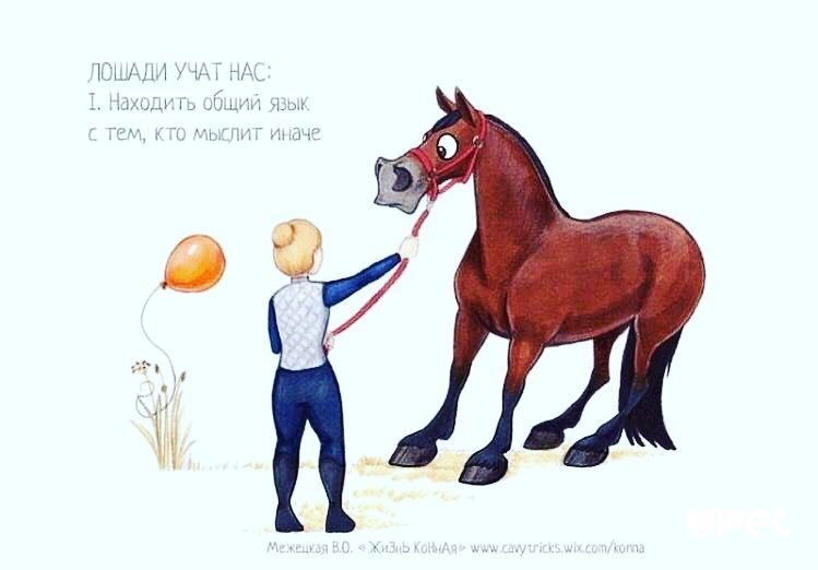 "Пакетик, который шуршал" - фильм ужасов для лошади. От создателей "Воздушный шарик", "Снеговик-конеед" и "Пропасть в луже" 