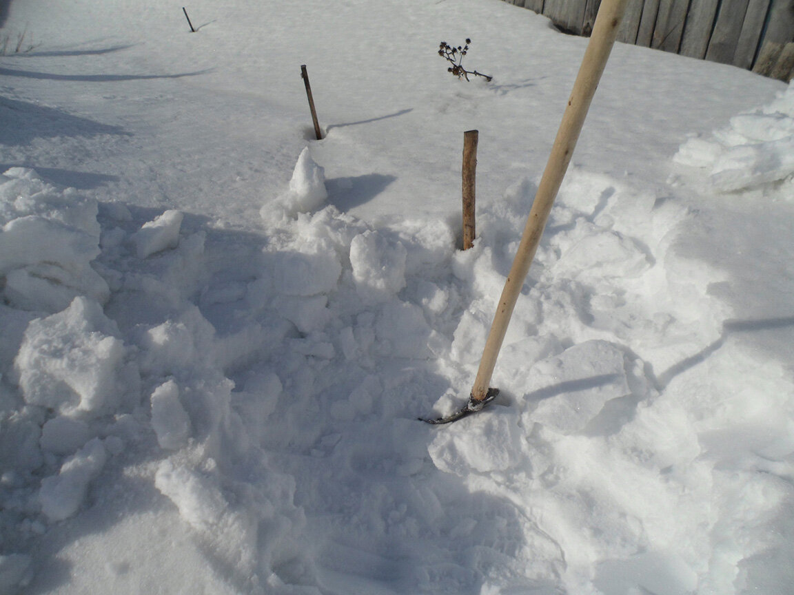 Начал копать