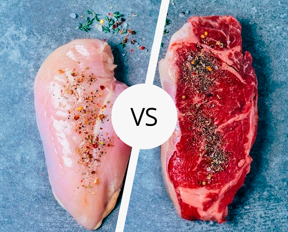 Какое мясо полезнее для человека: топ-5 видов