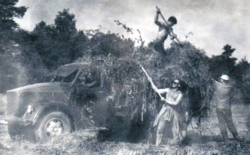 Тяга к лошадям у меня со времен конной фиерии.