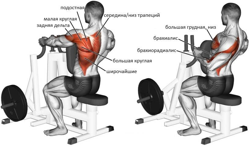 Тренажеры для спортзала