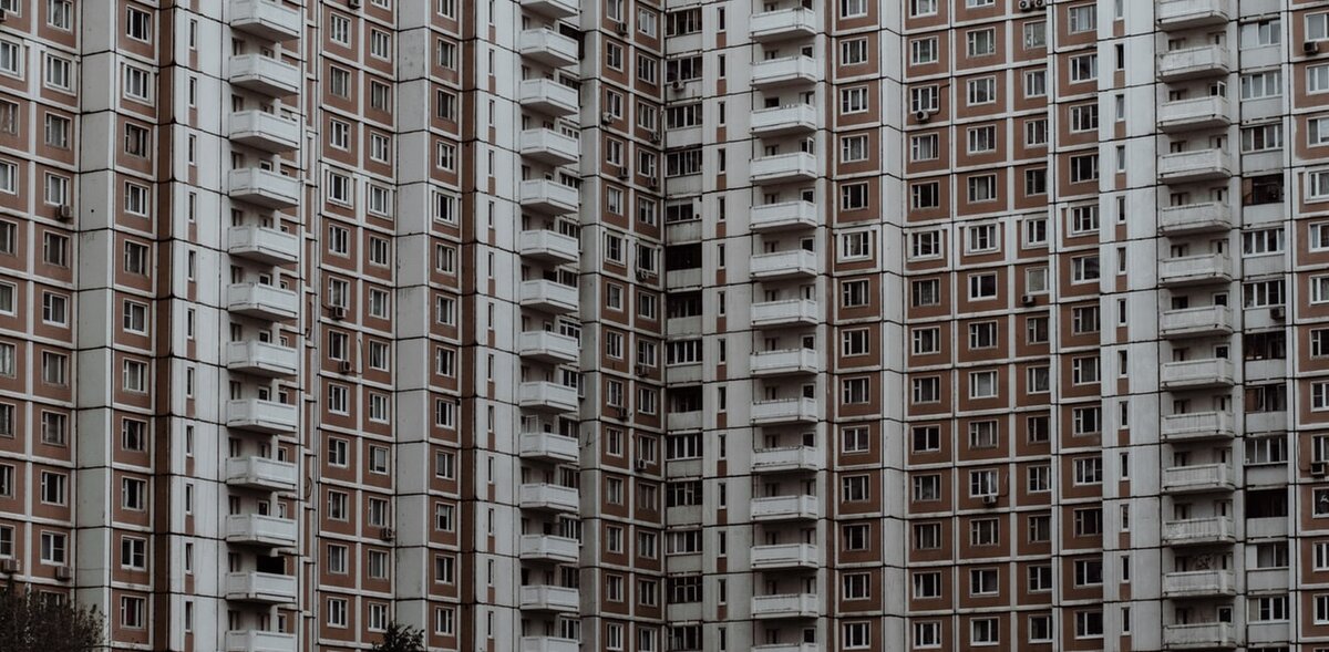 Фото: unsplash