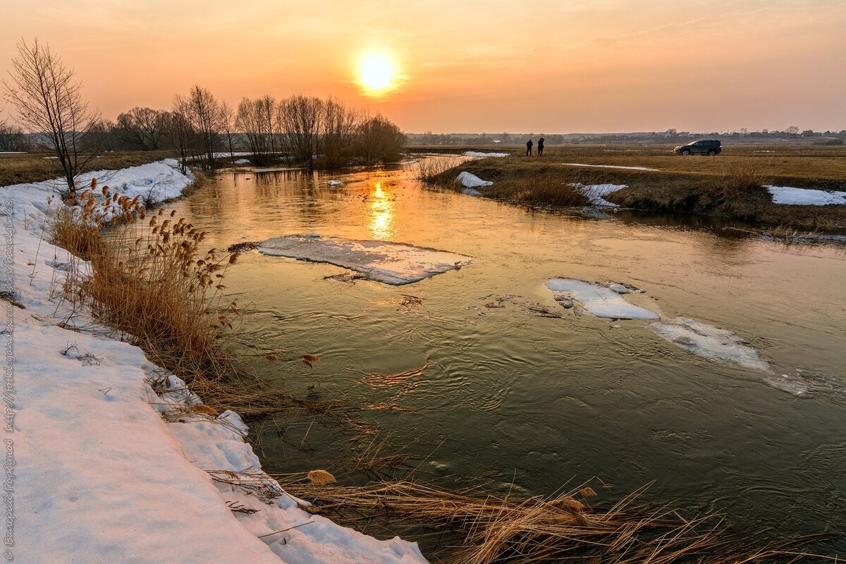 Река Цна весной. Фото Яндекс.