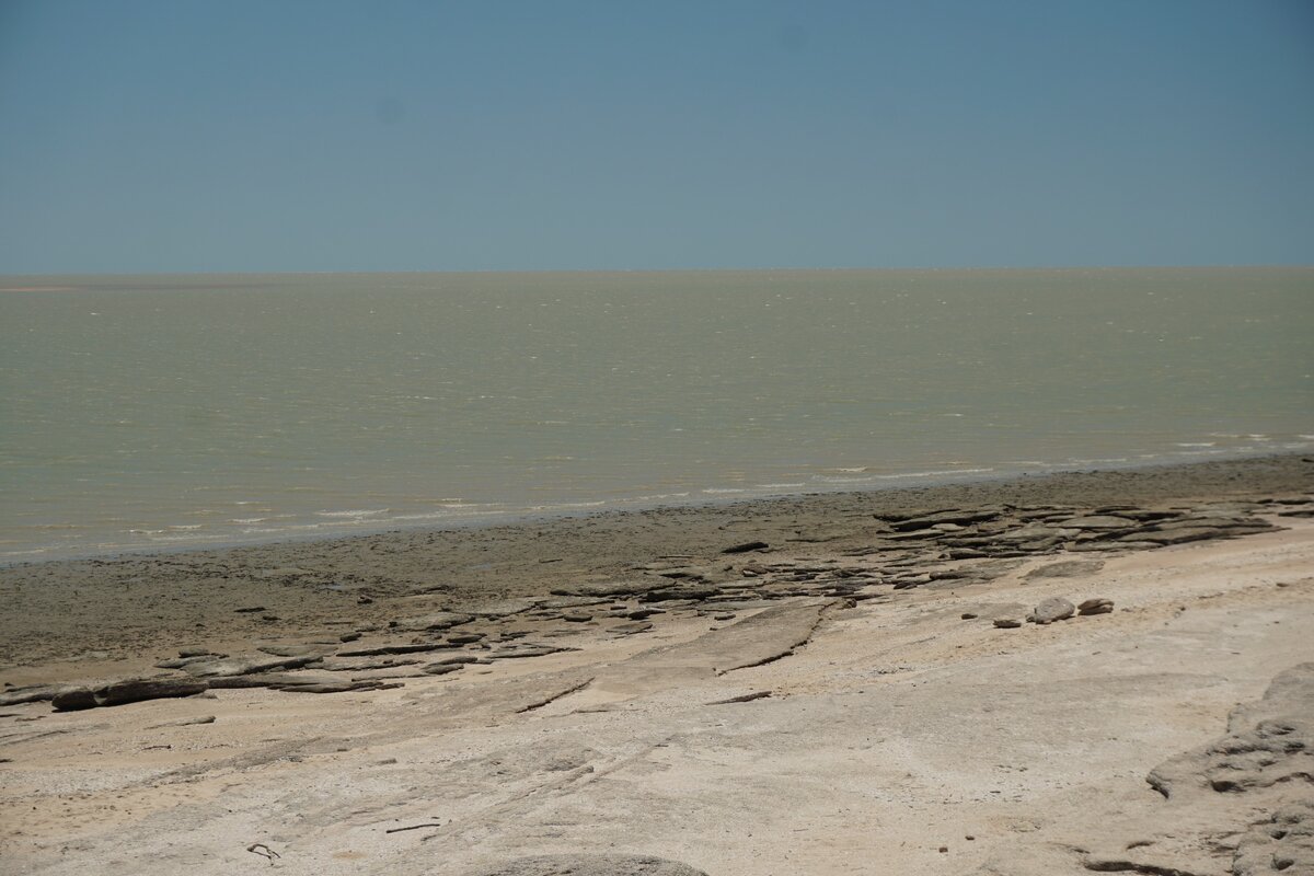 Карпентария, огромный залив на Севере Австралии тоже "цианистый" - несмотря на круглогодичную температуру воды +22-25, местные не купаются: акулы, морские крокодилы и смертельно ядовитые медузы.