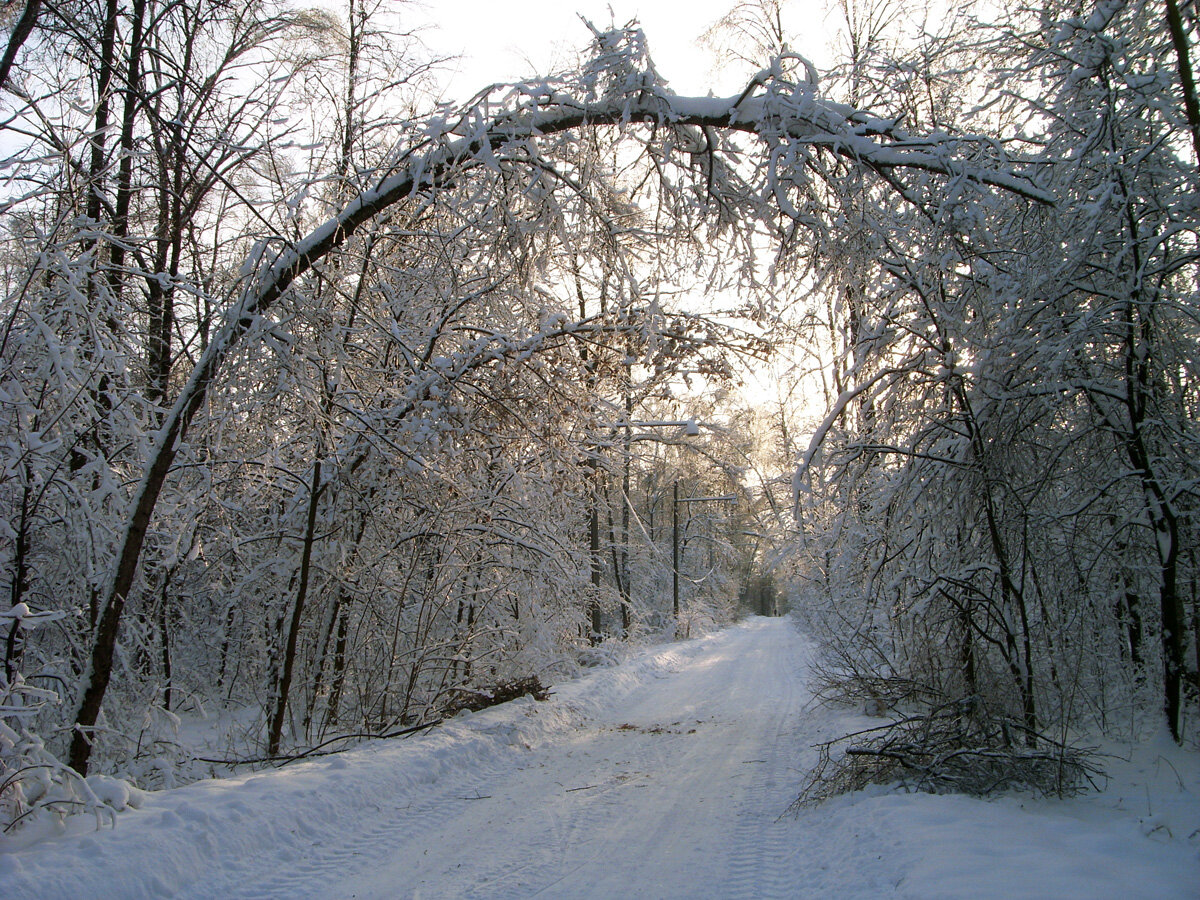 Парк Измайлово зимой