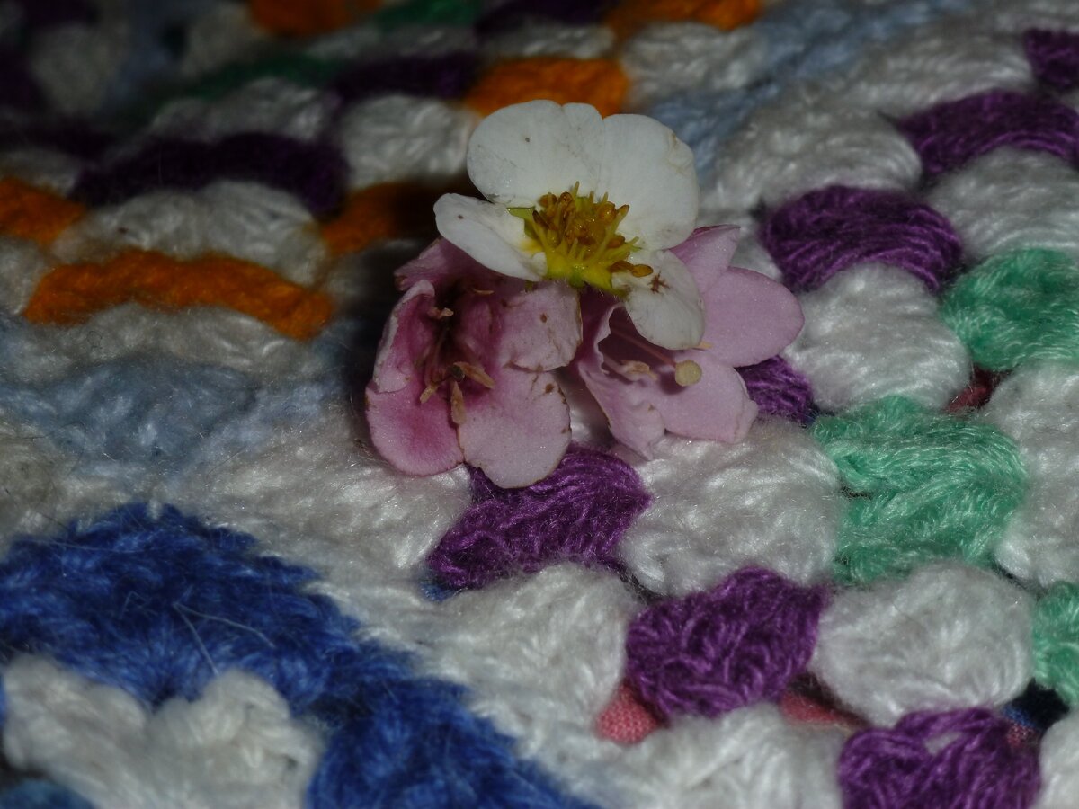 Салатовая полоска связана из моего бывшего детского шарфика - это я помню точно ))