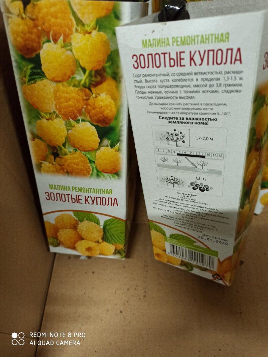 Фото из личного архива