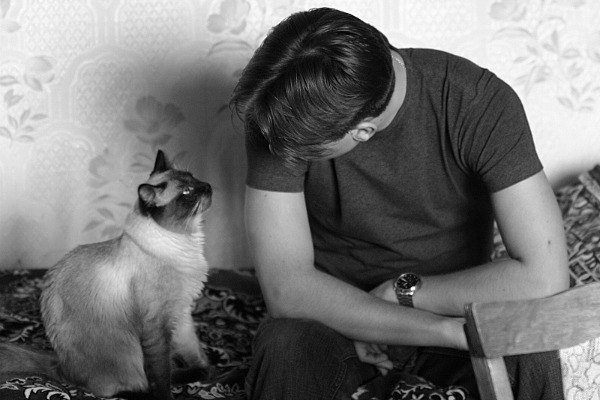 1.  Животное способно узнавать голос своего хозяина, но в большинстве случаев игнорирует его.