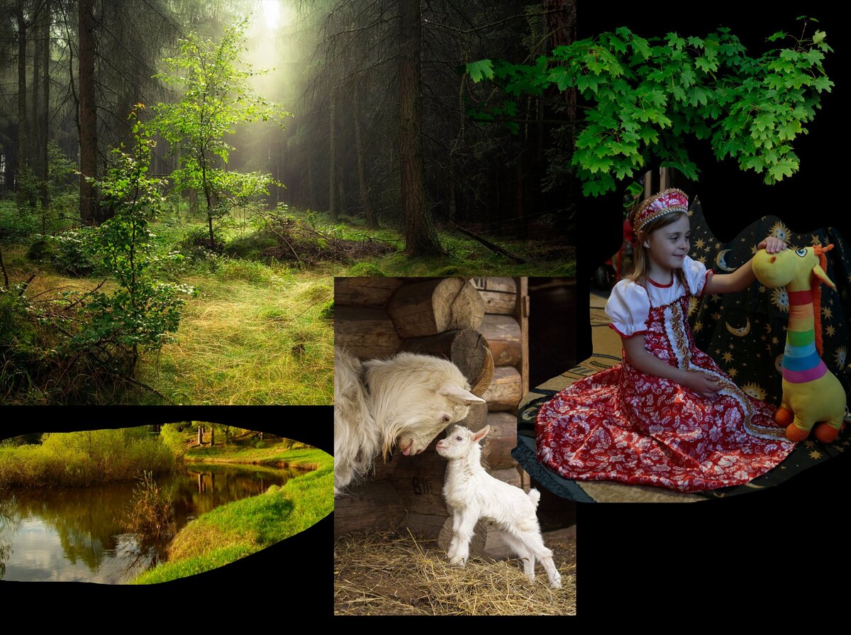 Выбранные объекты для коллажирования.