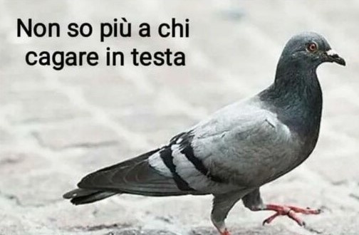 из итальянских соцсетей
