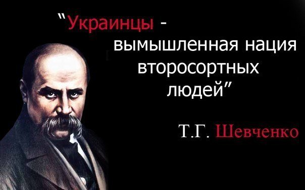 Фото из открытого источника Яндекс 