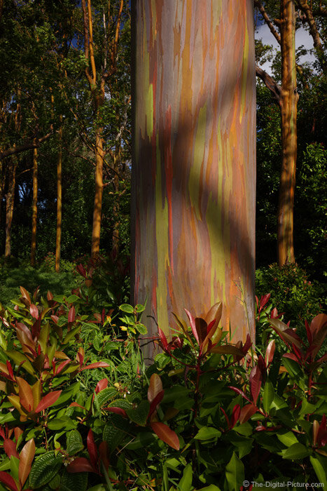 фото взято из Яндекс картинки