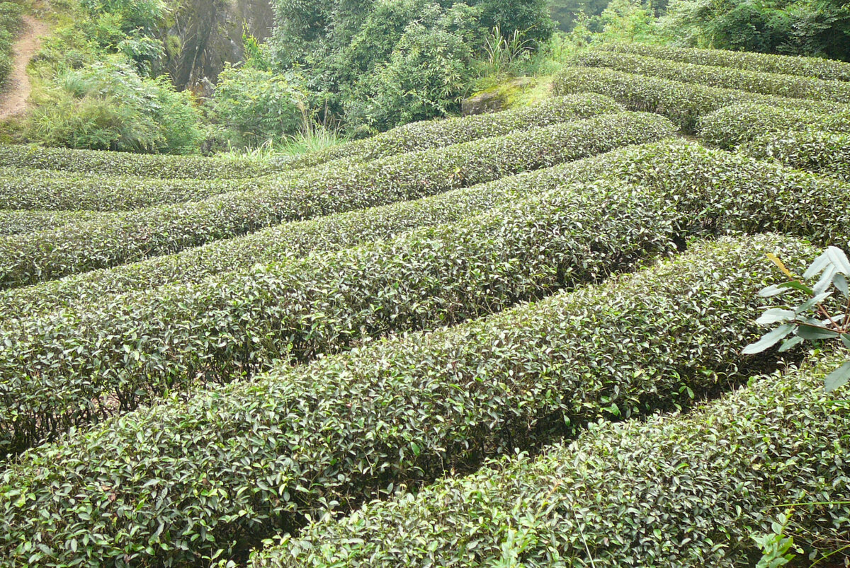 Здесь и дальше мои фотографии УИШани