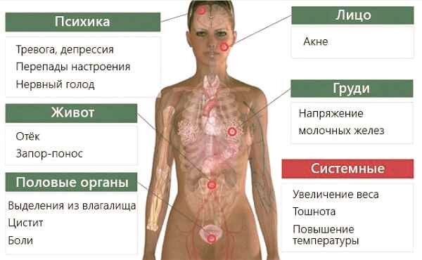 Может ли быть менструация при беременности?