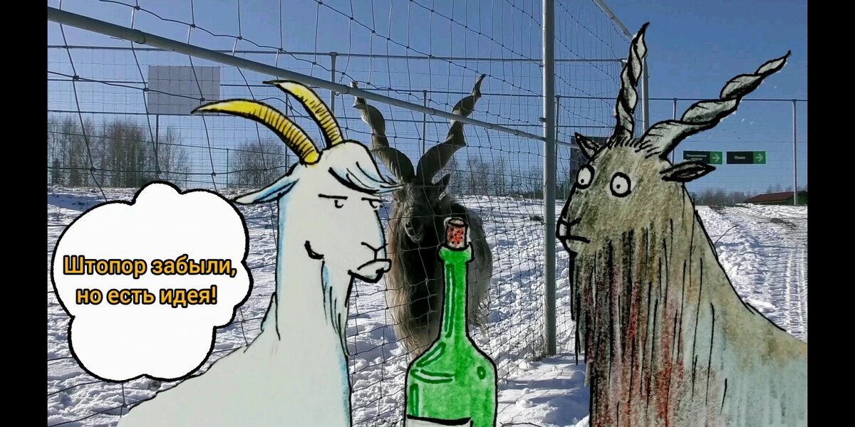 Альтернативный способ открыть бутылку вина