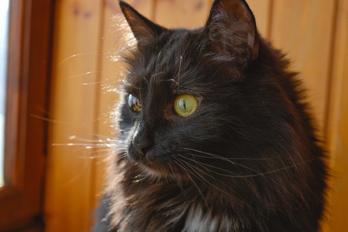 фото автора канала