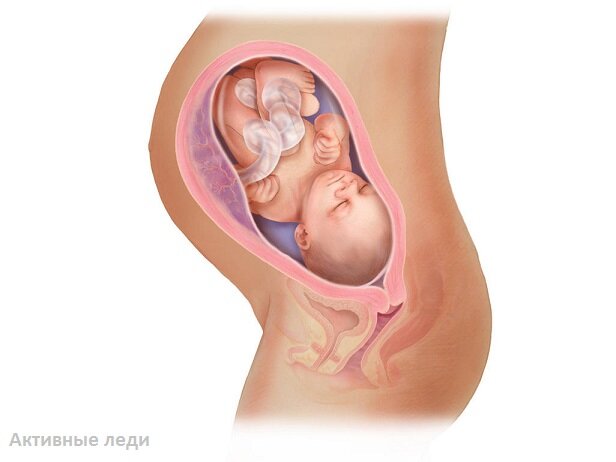 Тридцать девятая неделя.