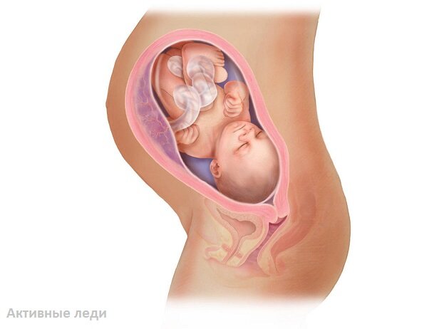 Тридцать девятая неделя беременности