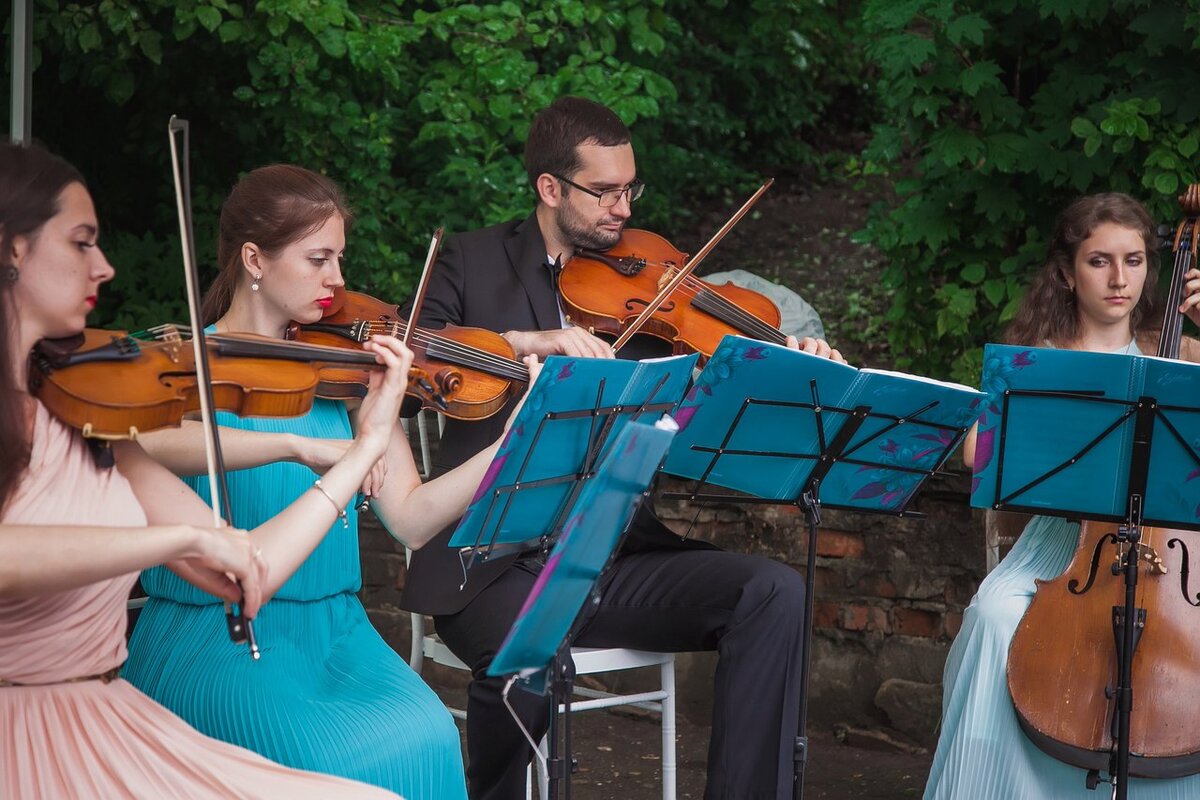 Струнный квартет на праздник