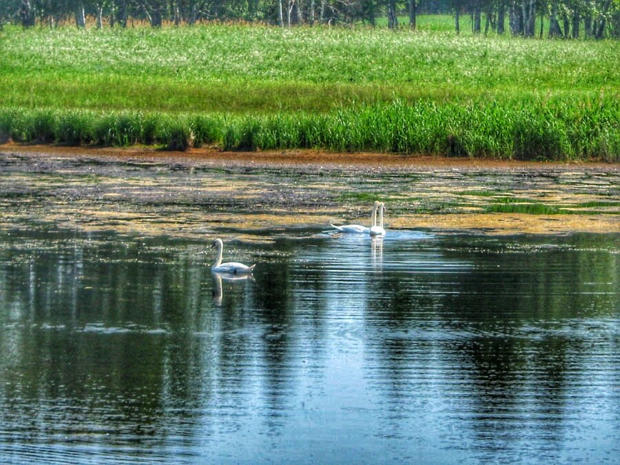 Очень красивые? Если вы так считаете то прошу вас подписатся на мой блог пишите коментарии и оставляйте лайки на статье)