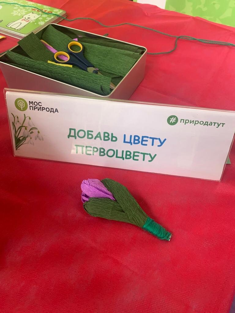 Фото из собственного архива
