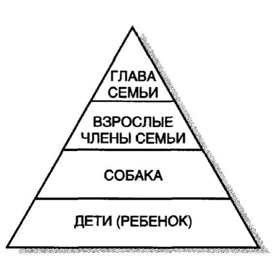 Семья второго типа