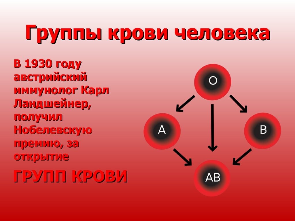 1. Вот что вам надо есть:
 

2-я группа крови: вегетарианская
еда, рыба, курица и йогурт.
Избегайте бобовых, острых продуктов и кофе.

3-я группа крови: молочные
продукты, баранина, рыба, овощи и
чай. Избегайте употребления
алкоголя и консервантов.

1-я группа крови: мясо, рыба и
овощи. Избегайте молочных
продуктов, обработанной пищи и
переедания.

4-я группа крови: свежие,
экологически чистые продукты.
Откажитесь от жареной еды,
которая отнимает энергию. 