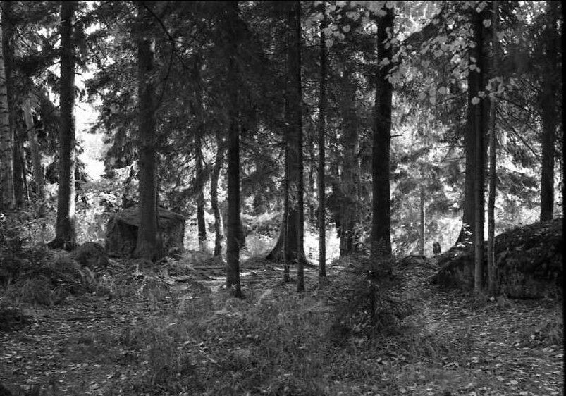 Ilford 400, zenit, Мон Репо