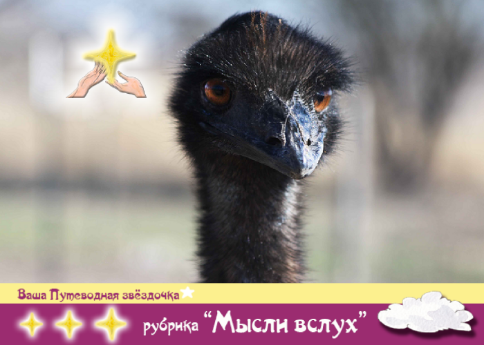 Photo by Ruth Caron on Unsplash