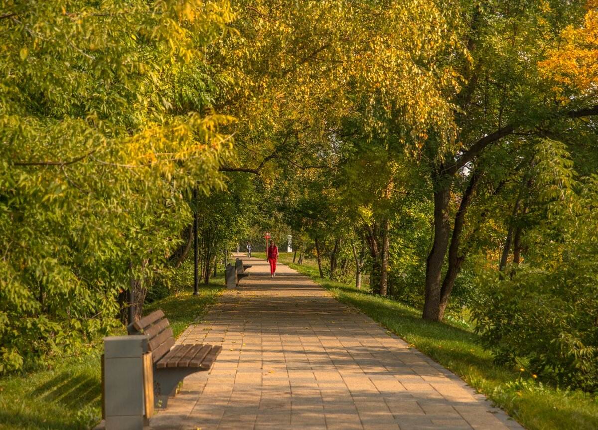 Осений день в парке 