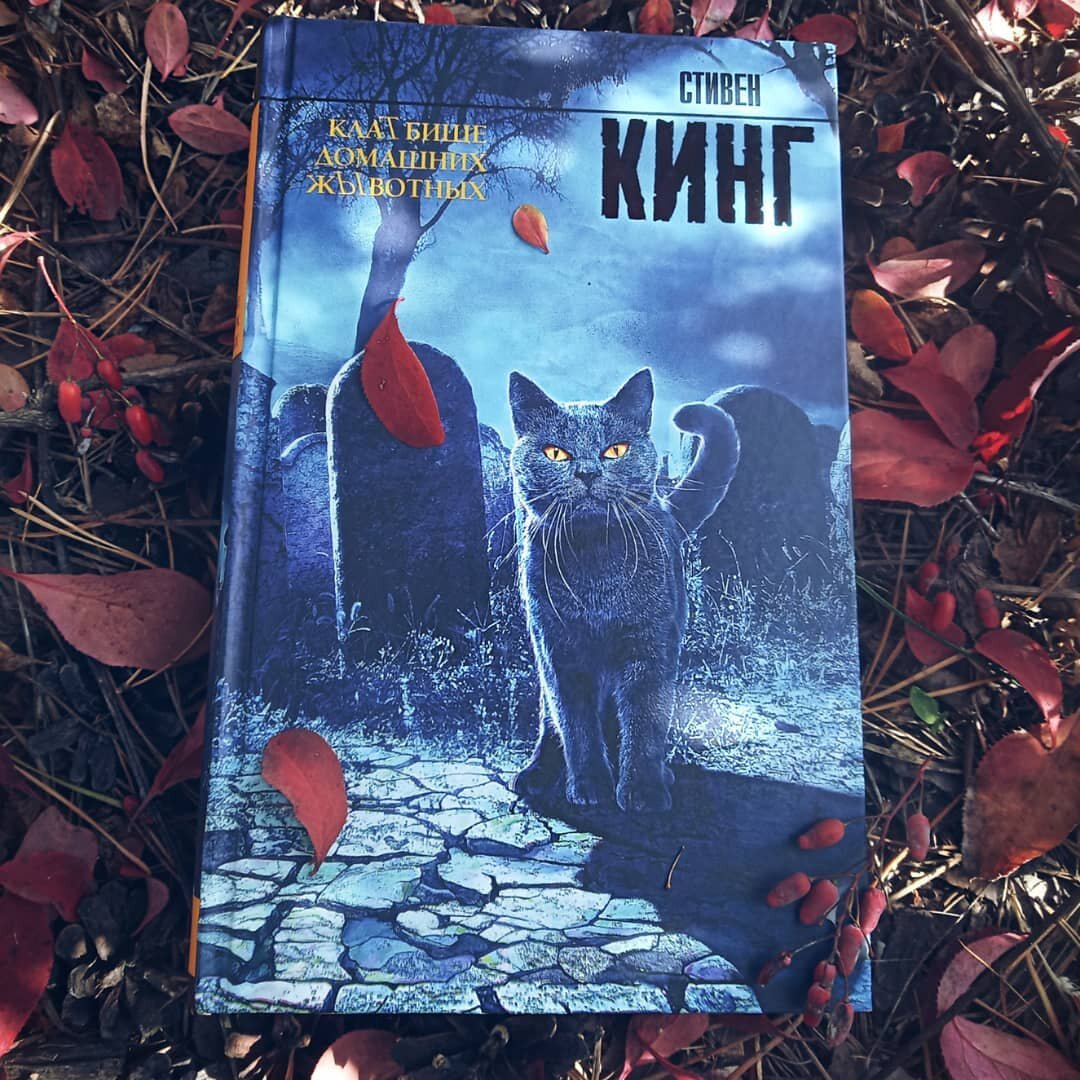 Стивен Кинг - КлаТбище домашних жЫвотных. Обложка книги