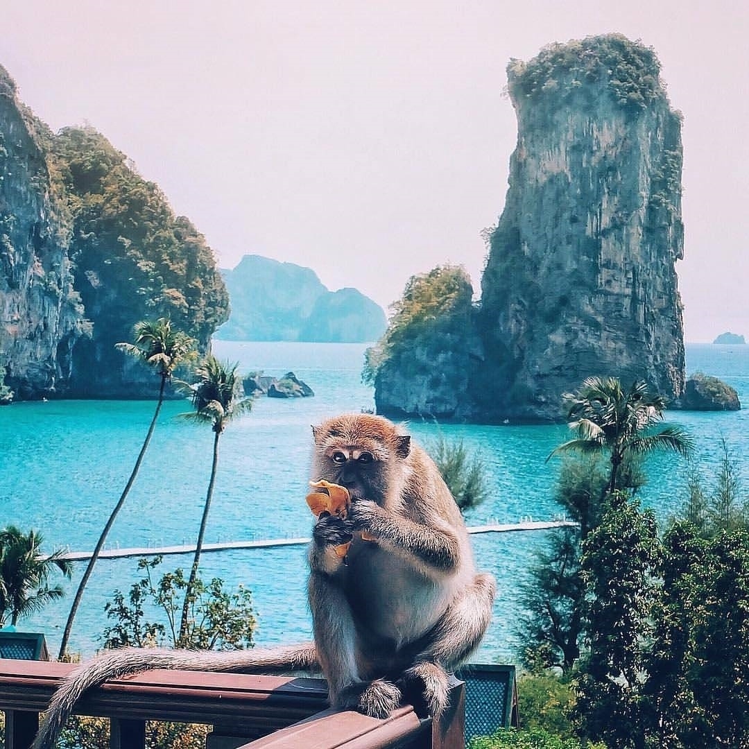 Источник: @thephuketlife