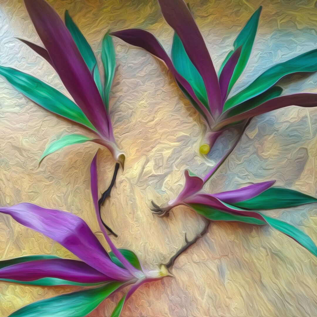 4 красавца отростка готовы к пересадке