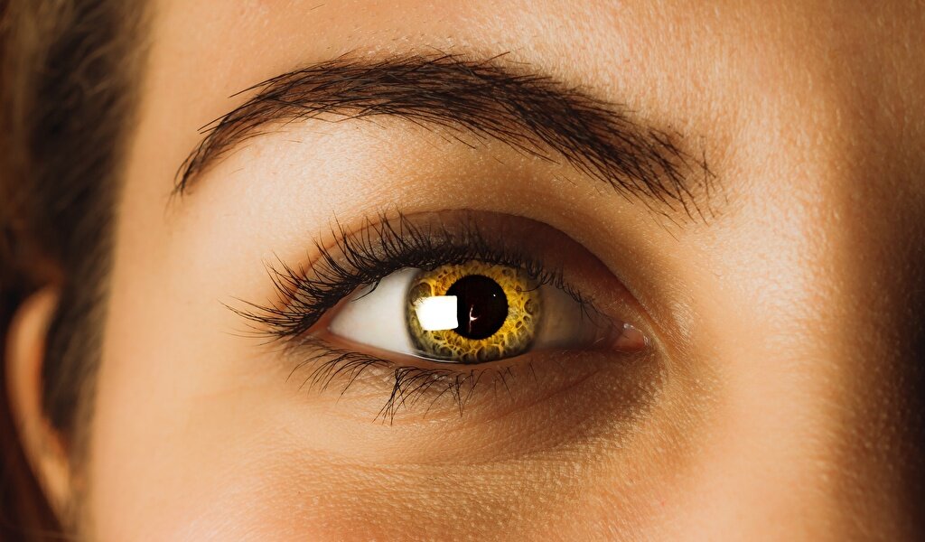 Просто упрощаем вашу жизнь)