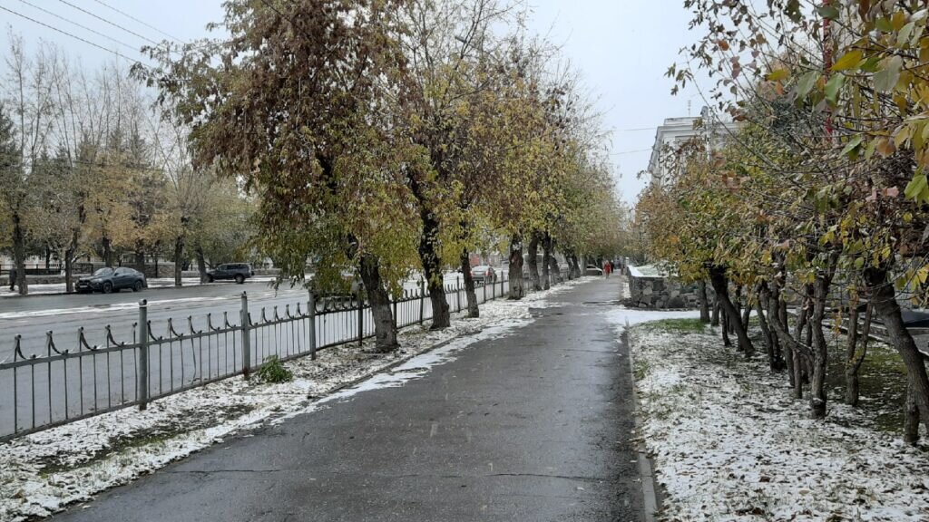 Фото: Валерия Шаньгина