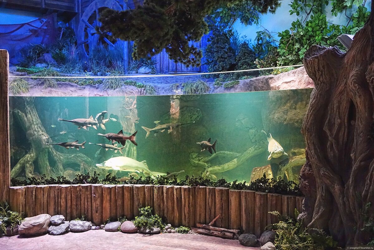 Топ-30 достопримечательностей Воронежа | Туристер.Ру | Дзен