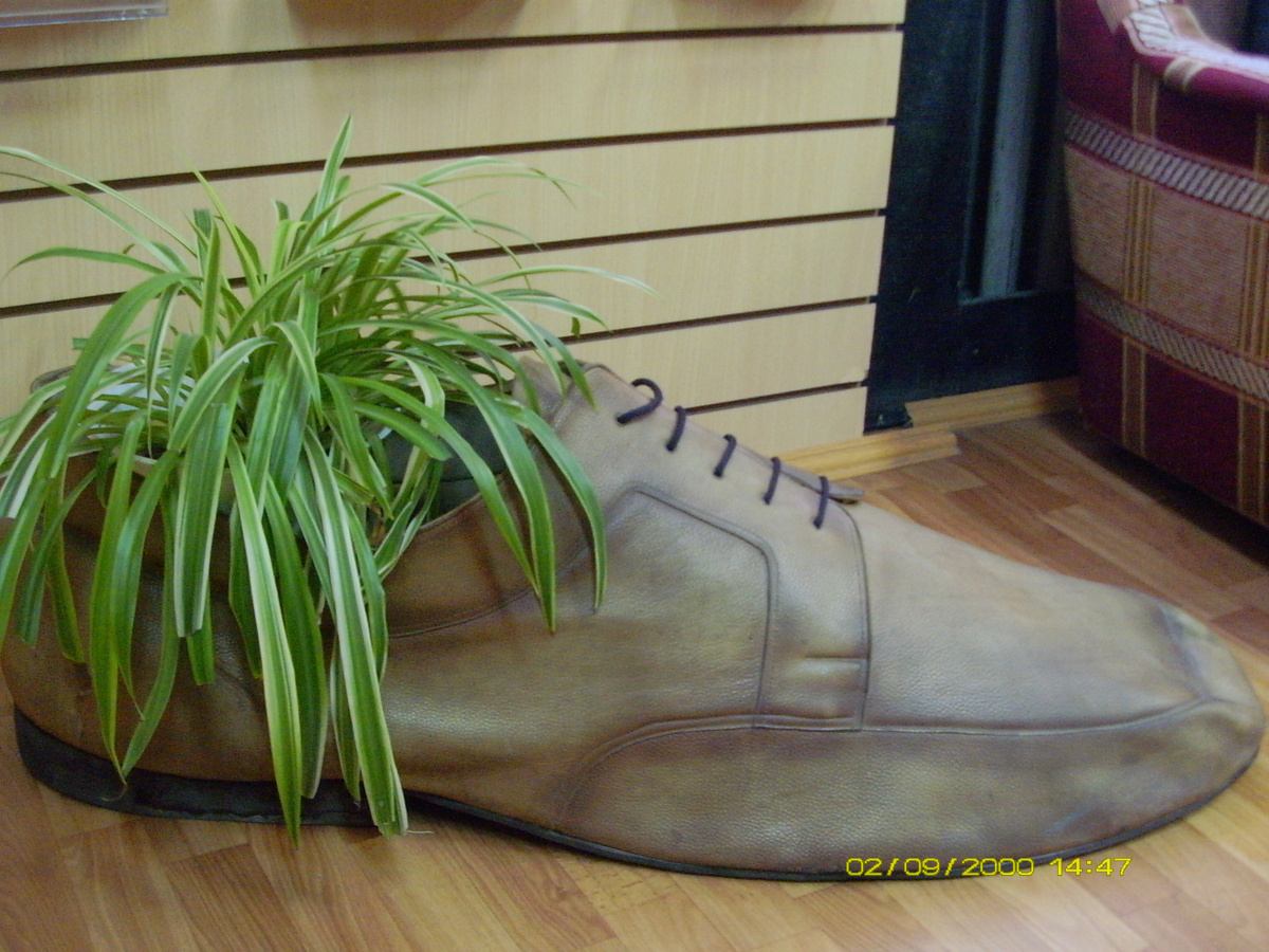 Ботинок, наполненный жизнью. Длина - более метра. Фото автора канала.