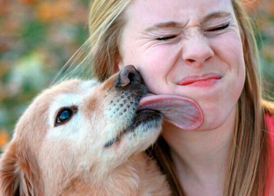 У нас хороший вкус.