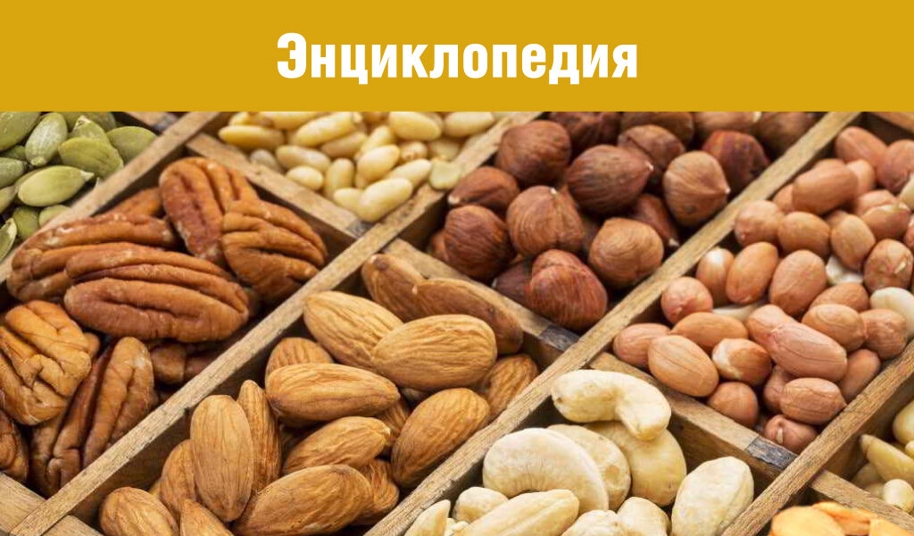 Энциклопедия от С.Пудовъ: Орехи в домашней  выпечке