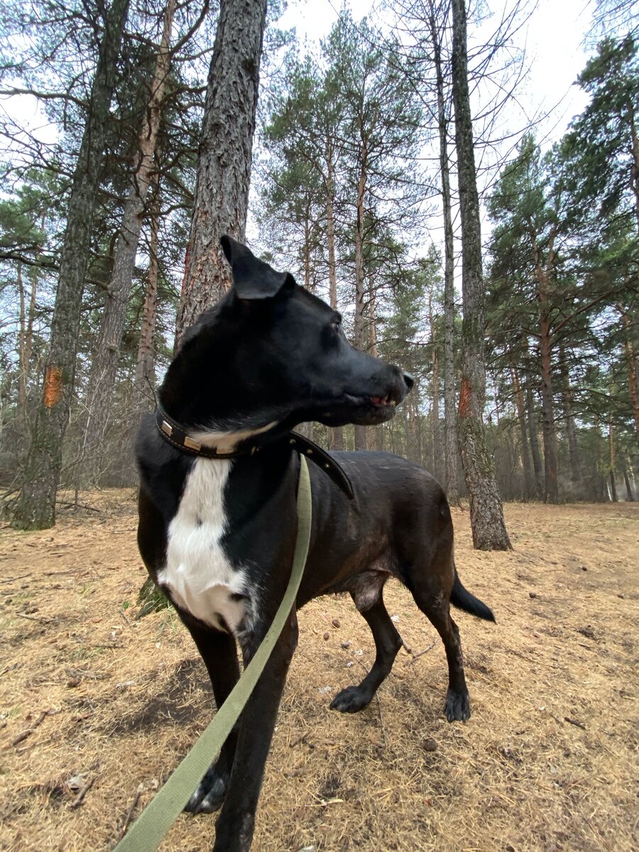 Эта я, Марли