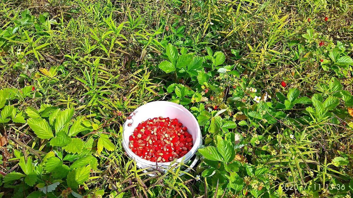 Немного ещё белая. 