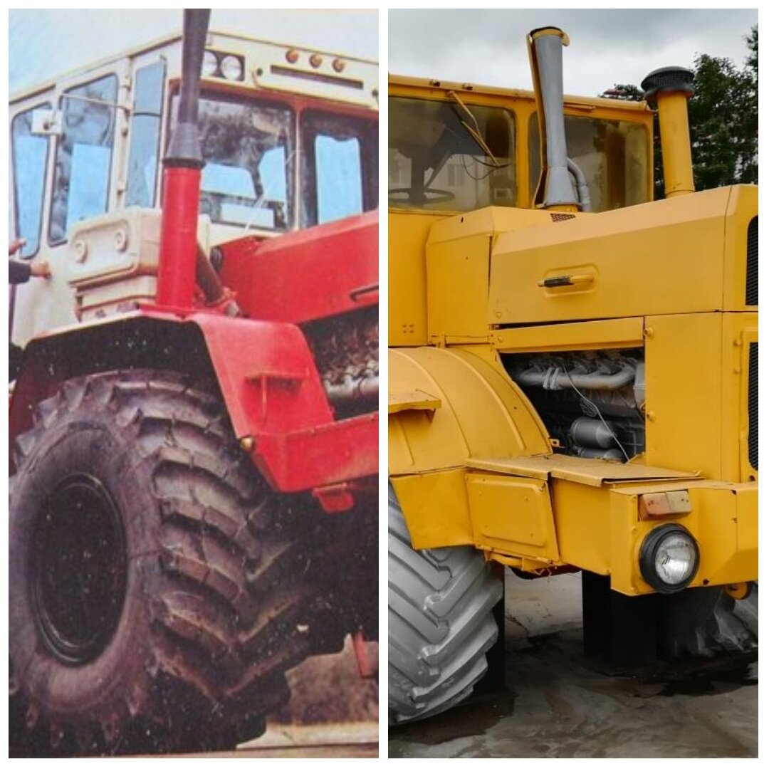 Настоящие богатыри