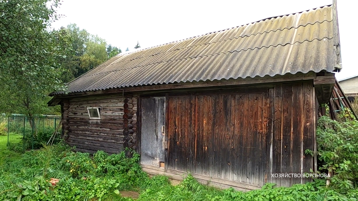 Курятник