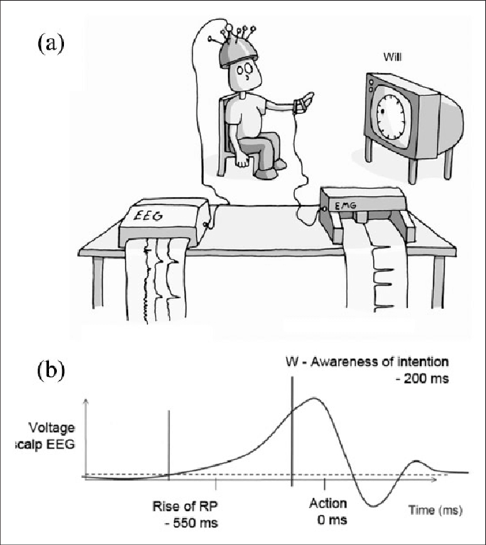 Эксперемент Либета