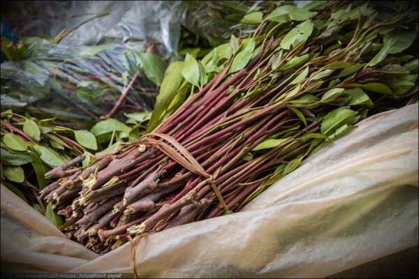 Вот такой "банный веник". Листья и ветки ката. Фото из сети.