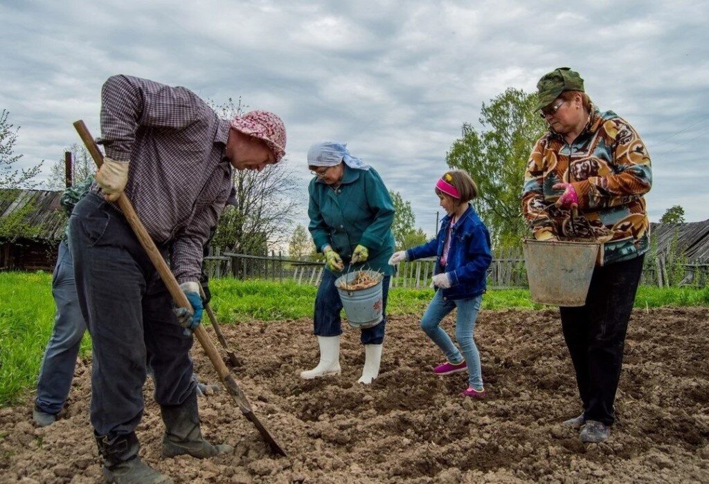 фото из интернета