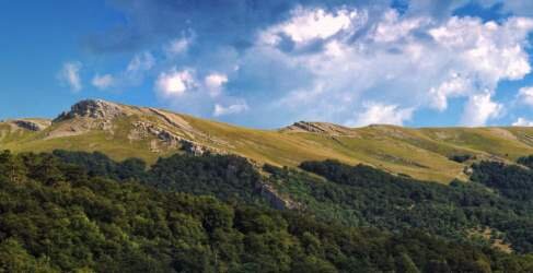 Покорение горы Роман-Кош в Крыму станет увлекательным и ни на что не похожим путешествием. Возвышенность является самой высокой на полуострове, при этом она имеет пологие склоны, густо покрытые хвойными деревьями. Чистый воздух и нарушаемая лишь звуками природы тишина помогут "перезарядиться" уму и телу.